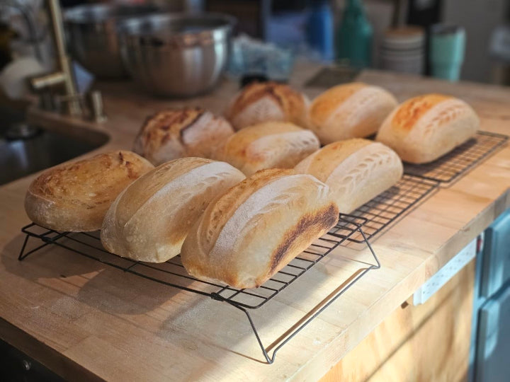 Sourdough Bread